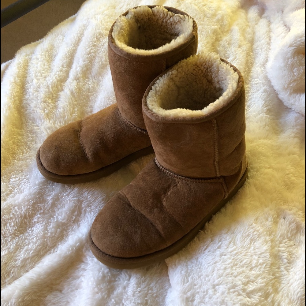 Chestnut ugg boots